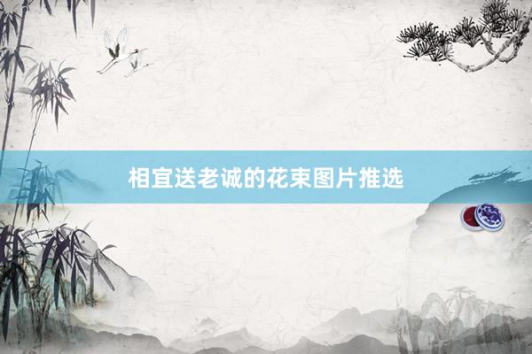 相宜送老诚的花束图片推选